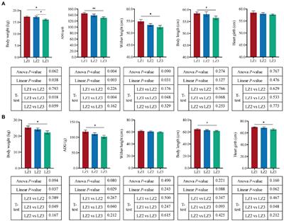 Litter size influences rumen microbiota and fermentation efficiency, thus determining host early growth in goats